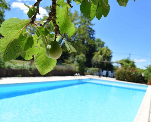 Camping a la Ferme Lot Dordogne Loupiac Chez Francis 6-min